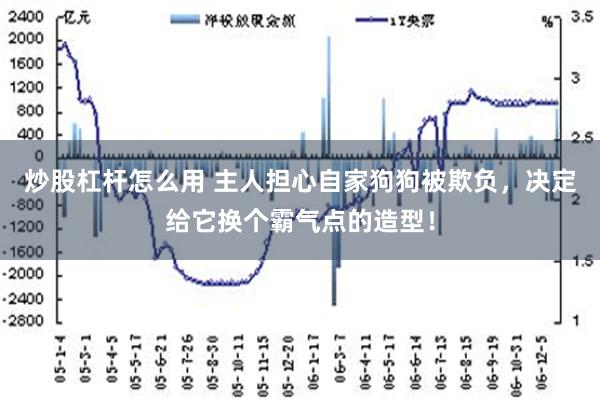 炒股杠杆怎么用 主人担心自家狗狗被欺负，决定给它换个霸气点的造型！