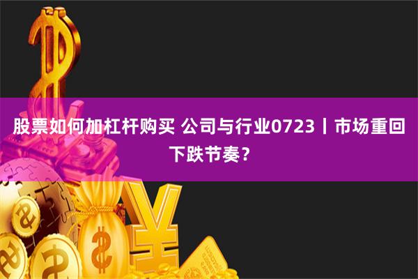 股票如何加杠杆购买 公司与行业0723丨市场重回下跌节奏？