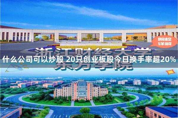 什么公司可以炒股 20只创业板股今日换手率超20%