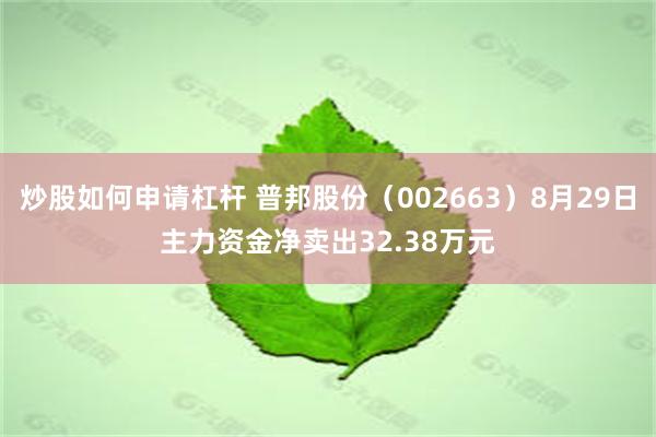 炒股如何申请杠杆 普邦股份（002663）8月29日主力资金净卖出32.38万元