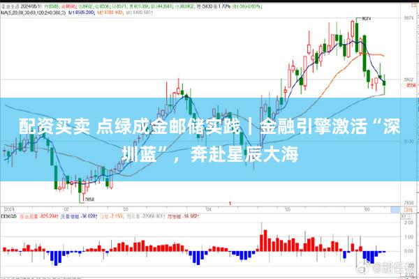 配资买卖 点绿成金邮储实践｜金融引擎激活“深圳蓝”，奔赴星辰大海