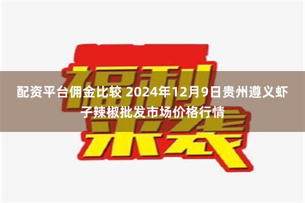 配资平台佣金比较 2024年12月9日贵州遵义虾子辣椒批发市场价格行情