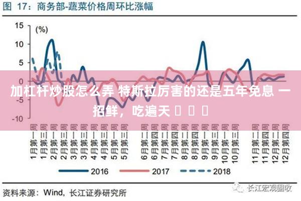 加杠杆炒股怎么弄 特斯拉厉害的还是五年免息 一招鲜，吃遍天 ​​​