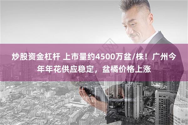 炒股资金杠杆 上市量约4500万盆/株！广州今年年花供应稳定，盆橘价格上涨